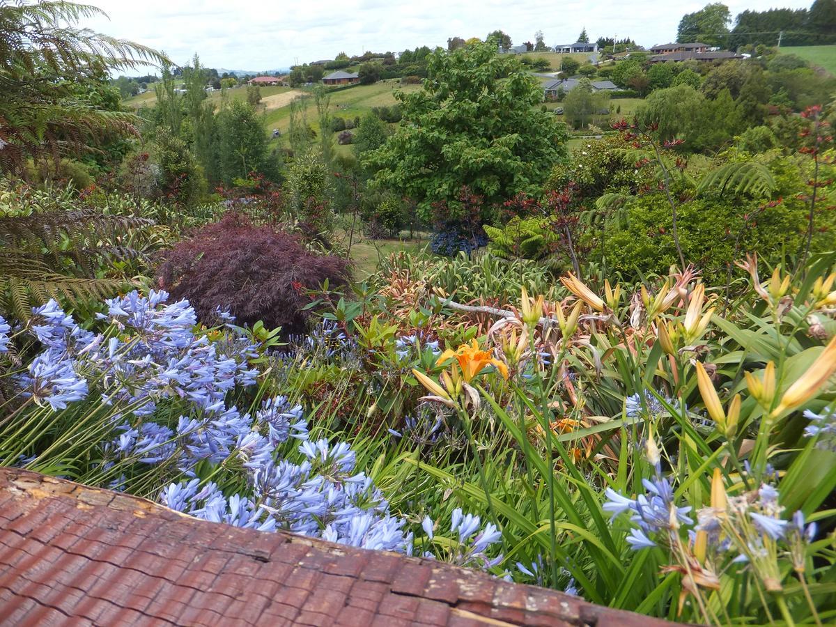 Waitomo Golfstays B&B Otorohanga Exteriör bild